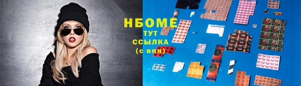 амф Бородино