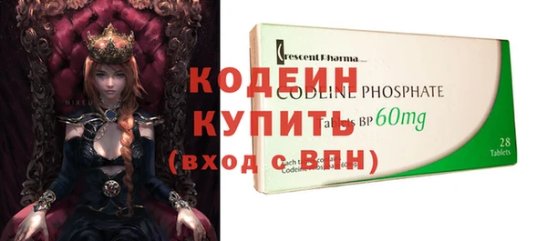 амф Бородино