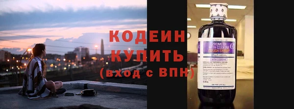 амф Бородино