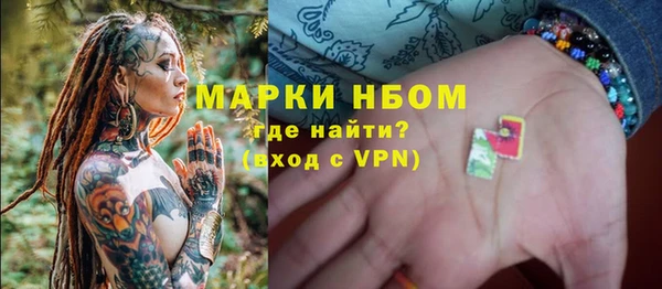 амф Бородино