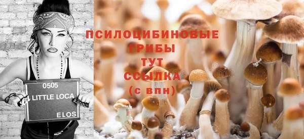 амф Бородино
