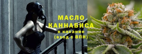 амф Бородино