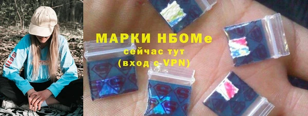 амф Бородино