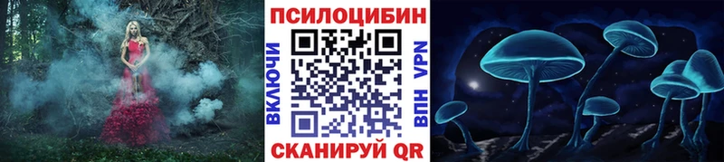 Галлюциногенные грибы Psilocybe  ссылка на мегу ССЫЛКА  Моздок 